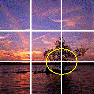 Grid lines in a picture of sunset, sea and a tree